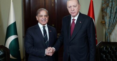 Turkiye’s Erdogan meets Pakistan PM in Istanbul weeks after India conflict