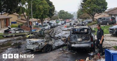 Two people dead after plane crash in San Diego neighbourhood