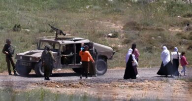 UN envoy urges Israel to halt Syria attacks 'at once'