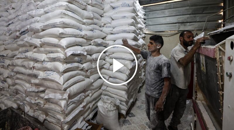 Video: Aid Finally Arrives in Gaza After Two-Month Israeli Blockade