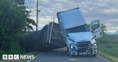 Washington: Warning after millions of bees escape overturned truck