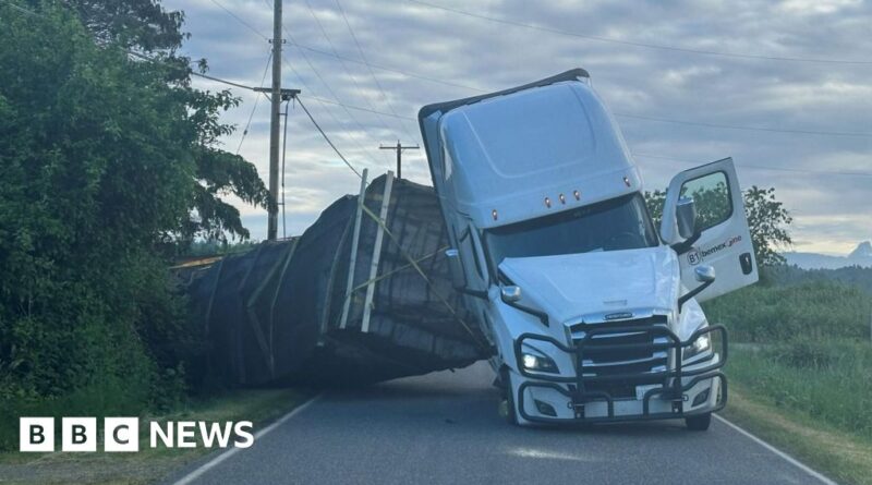 Washington: Warning after millions of bees escape overturned truck