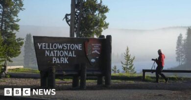 Yellowstone National Park: Seven killed in tour bus crash