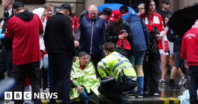 'It missed us by inches': Witnesses describe car driving into crowds at Liverpool FC parade
