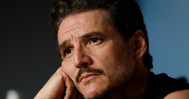‘Fight back’: Pedro Pascal urges Cannes to resist US political pressure