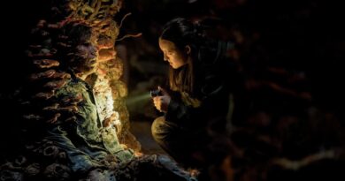 ‘The Last Of Us’ Season 2, Episode 5 Recap And Review: It’s In The Air