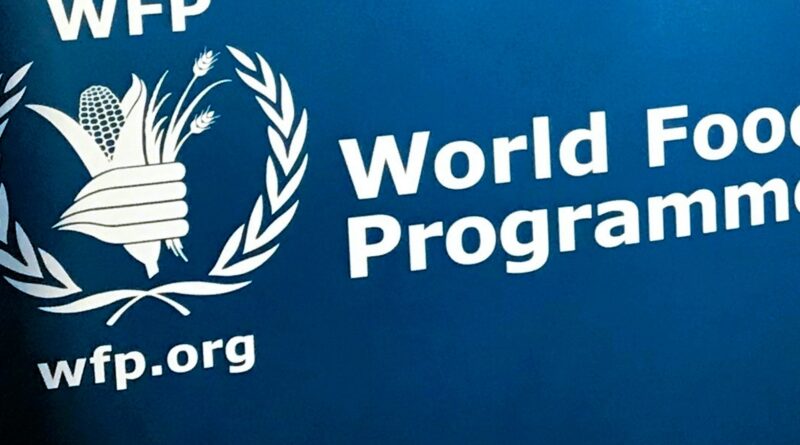 ‘This must stop now’: UN food body condemns RSF attacks on Sudan premises