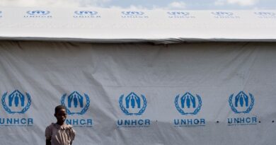 122 million forcibly displaced worldwide 'untenably high': UN