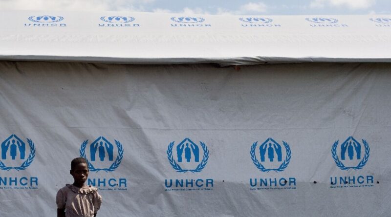 122 million forcibly displaced worldwide 'untenably high': UN