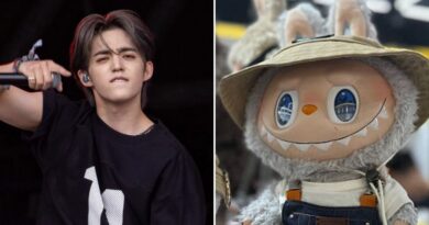 A huge K-pop band is teaming up with the viral ugly toy Labubu