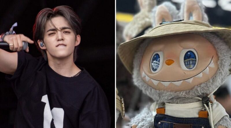 A huge K-pop band is teaming up with the viral ugly toy Labubu