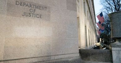 Afghan man pleads guilty to plotting US election day attack