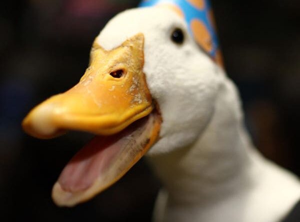 Aflac Data Breach By Scattered Spider Hackers Is No Quacking Matter