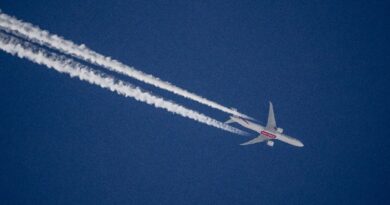 Airlines halt many Middle East flights after Israel hits Iran