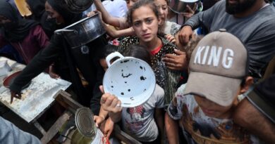 Anger as US blocks Gaza ceasefire resolution at UN Security Council