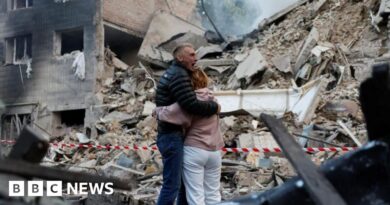 At least 15 killed and dozens injured in Russian strike on Kyiv
