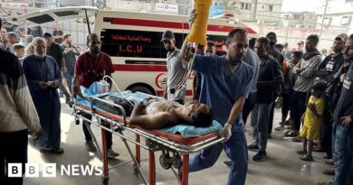 At least 27 Palestinians killed by Israeli fire near aid centre, Gaza authorities say