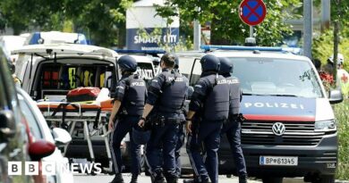 At least nine dead in Austria school shooting
