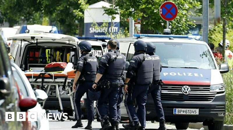 At least nine dead in Austria school shooting