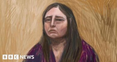 Australia mushroom trial: Erin Patterson tells court she threw up toxic meal
