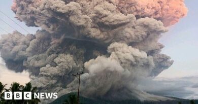 Bali flights cancelled after Indonesia's Lewotobi volcano erupts