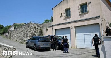Bride shot dead in attack on wedding party in south-east France