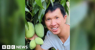 British woman charged over death of Australian in e-scooter crash