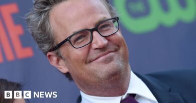 California doctor to plead guilty to supplying Matthew Perry with ketamine