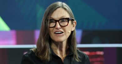 Cathie Wood says Tesla is the stock she'd pick if she could only invest in one company