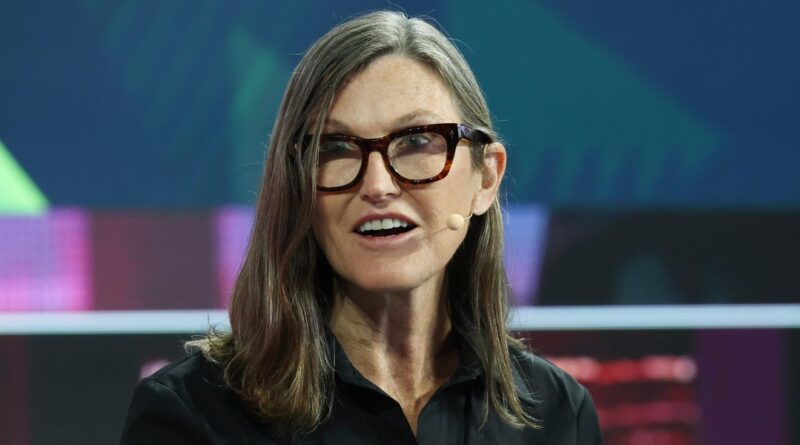 Cathie Wood says Tesla is the stock she'd pick if she could only invest in one company