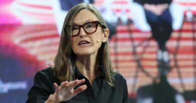 Cathie Wood says the Musk-Trump feud reveals how much Musk's companies rely on the government