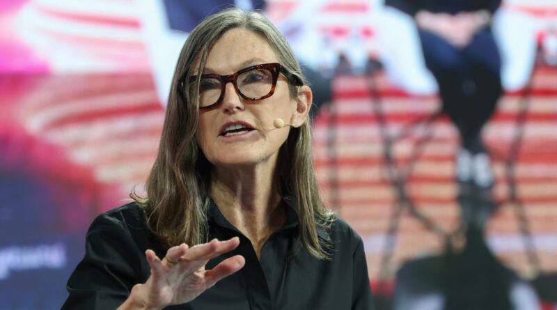 Cathie Wood says the Musk-Trump feud reveals how much Musk's companies rely on the government
