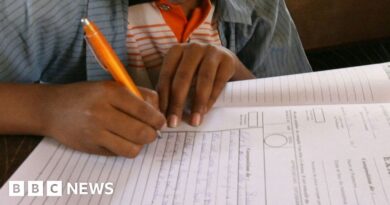 Central African Republic exam crush: Panic following blast kills 29 pupils in Bangui