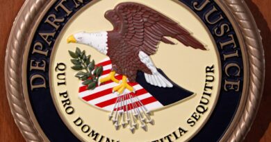 Chinese man in US pleads guilty to exporting guns, ammo to North Korea