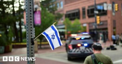 Colorado attack: Eight hurt in Boulder mall as suspect shouts 'free Palestine'