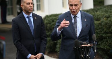 Democrats assail 'erratic' Trump over Iran strikes