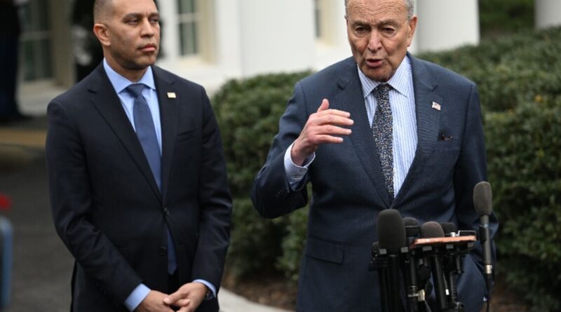Democrats assail 'erratic' Trump over Iran strikes