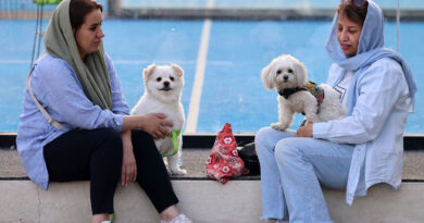Despite outrage, Iran expands dog-walking ban across multiple provinces