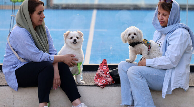 Despite outrage, Iran expands dog-walking ban across multiple provinces