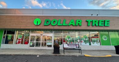 Dollar Tree's decision to ditch the everything-for-$1 strategy is helping it weather the tariff storm