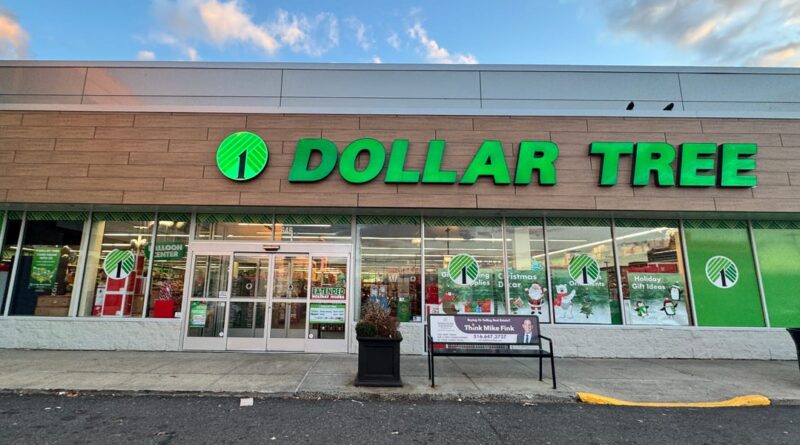 Dollar Tree's decision to ditch the everything-for-$1 strategy is helping it weather the tariff storm