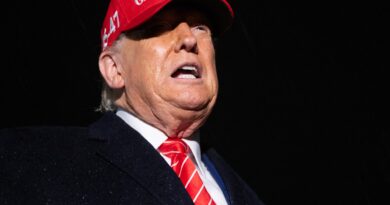Donald Trump announces US travel ban on people from 12 countries