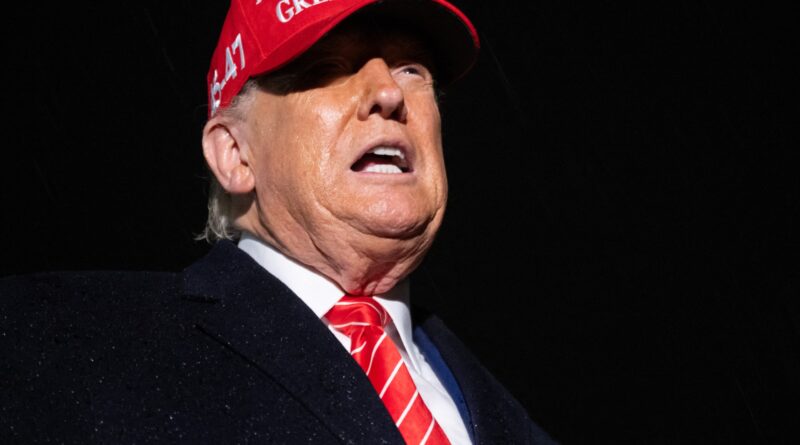 Donald Trump announces US travel ban on people from 12 countries