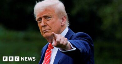 Donald Trump's tariffs will hurt global growth, OECD warns