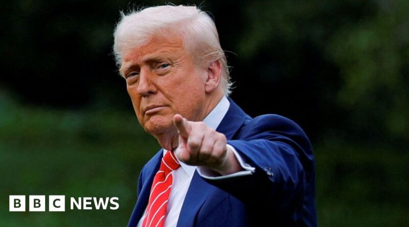Donald Trump's tariffs will hurt global growth, OECD warns