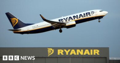 Eight injured on Ryanair flight hit by 'severe turbulence', police say