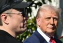 Elon Musk calls Trump's spending bill 'utterly insane' as Senate gears up for a vote
