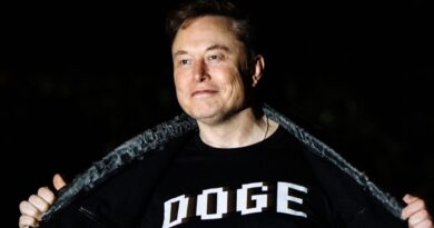 Elon Musk said DOGE 'became the whipping boy' for all government problems