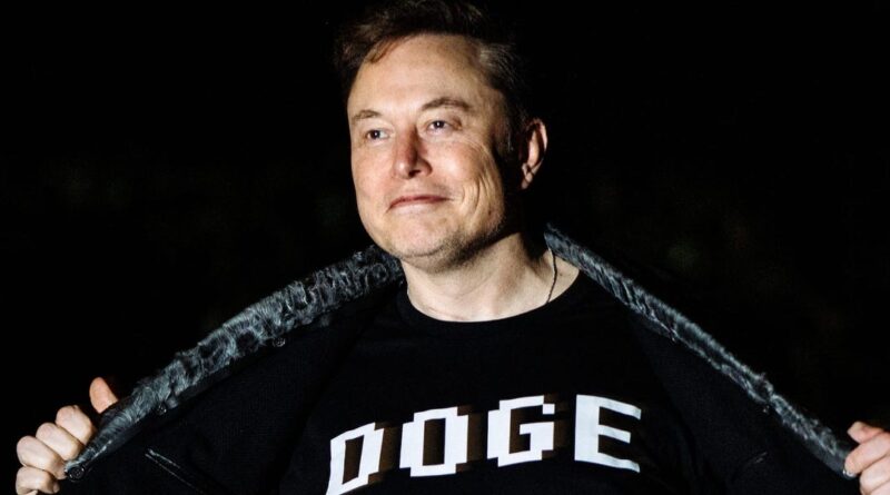 Elon Musk said DOGE 'became the whipping boy' for all government problems