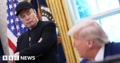 Elon Musk says he 'regrets' some posts he made about Donald Trump